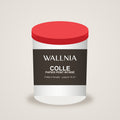 Pot de colle pour papier peint intissé Wallnia