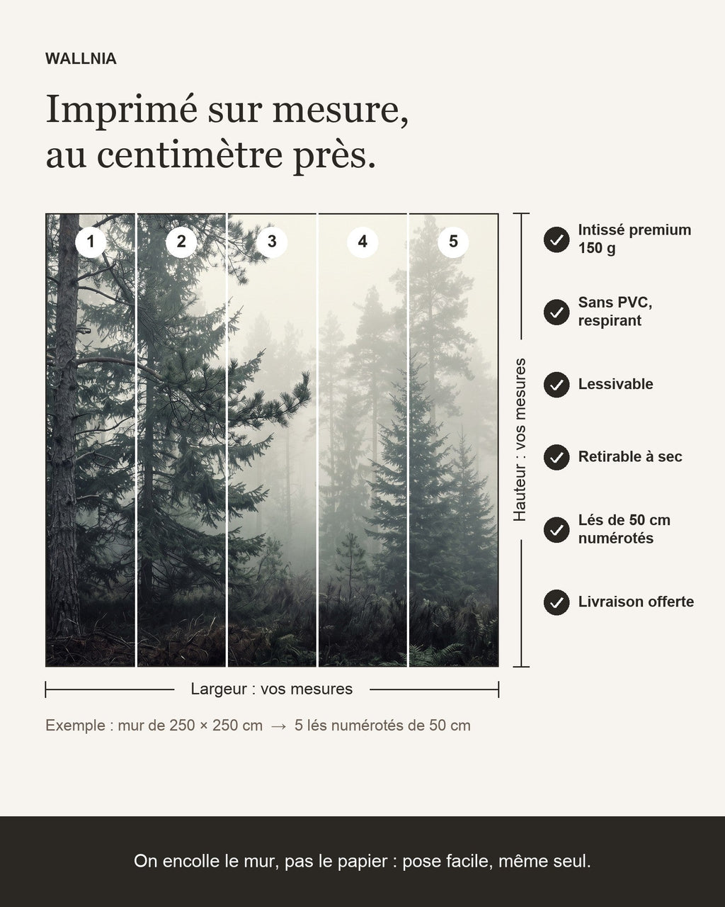 Papier peint Forêt de brume – Pins – infographie de pose
