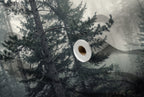 Papier peint Forêt de brume – Pins – rouleau et lés
