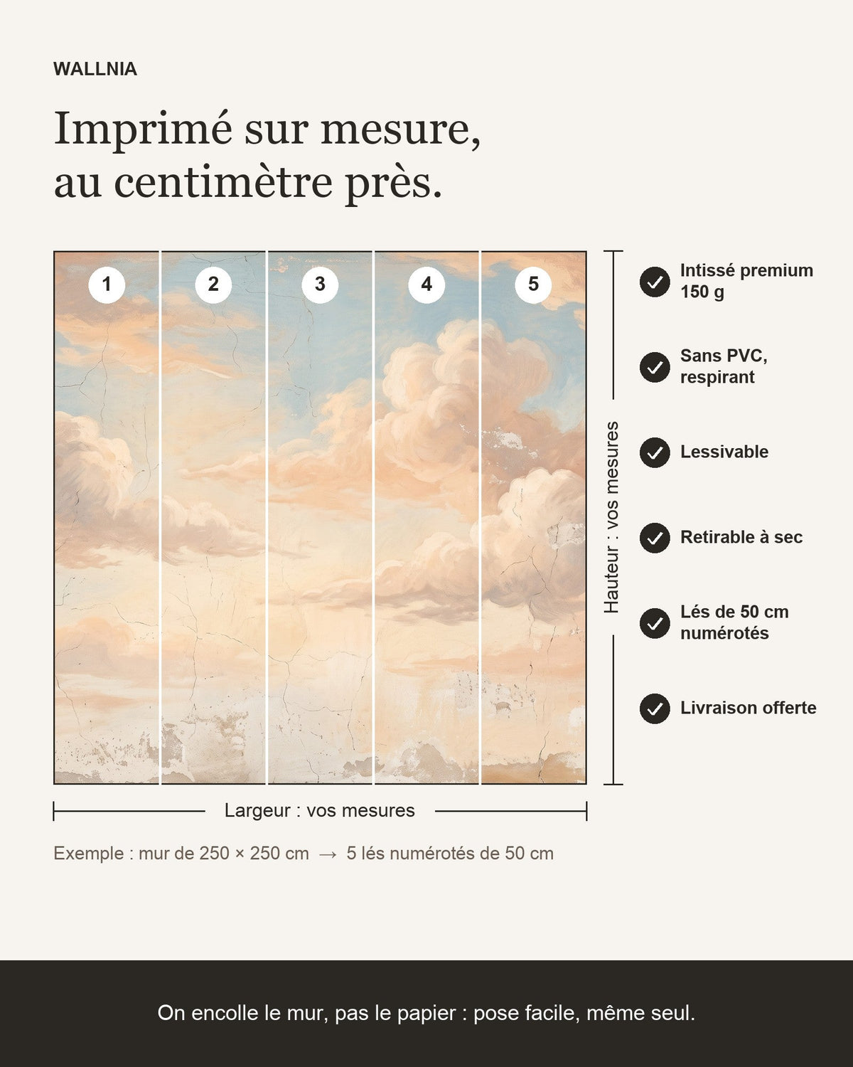 Papier peint Fresque de nuages – Ciel ancien – infographie de pose